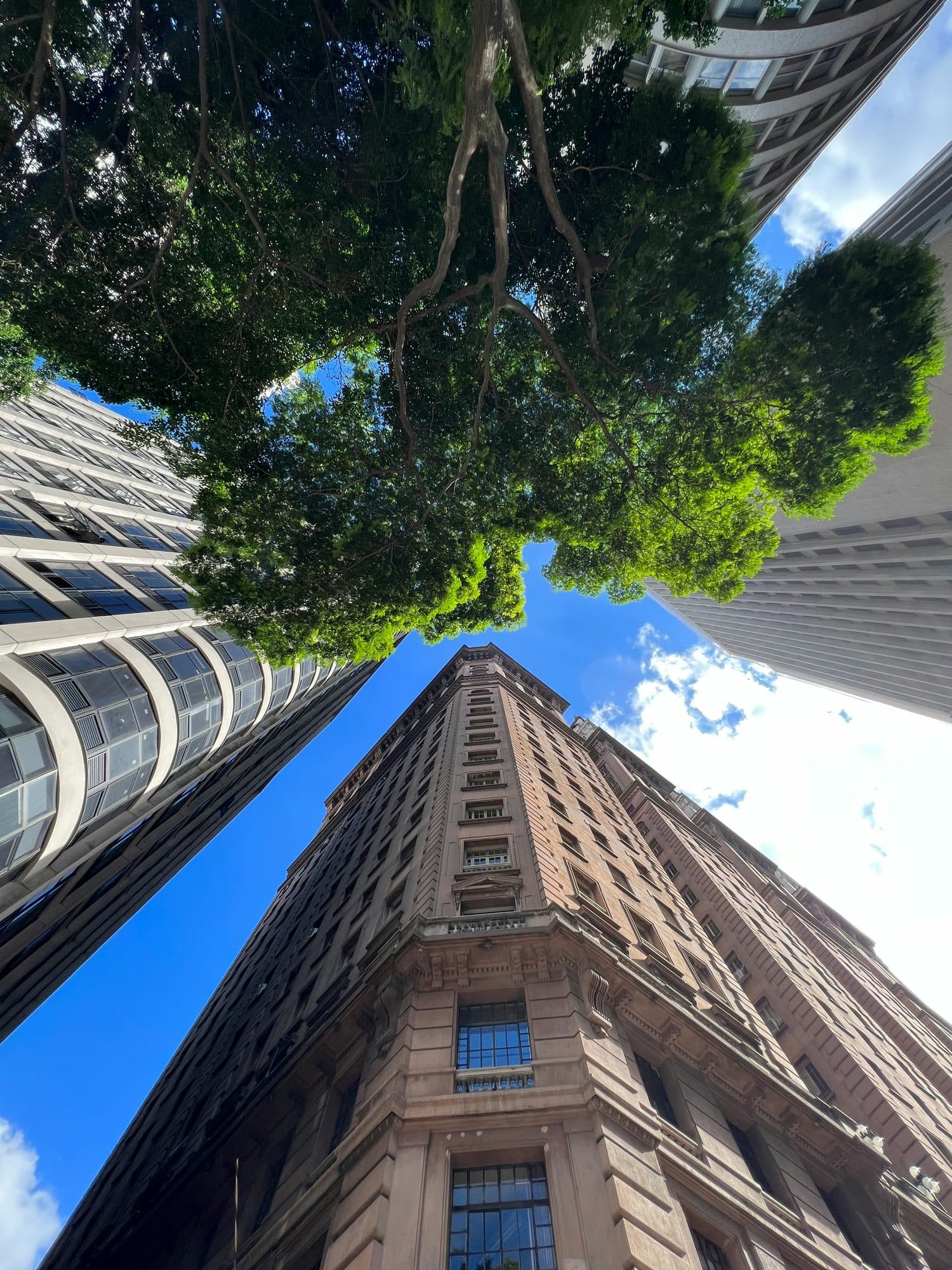 Vista de rua no centro de São Paulo